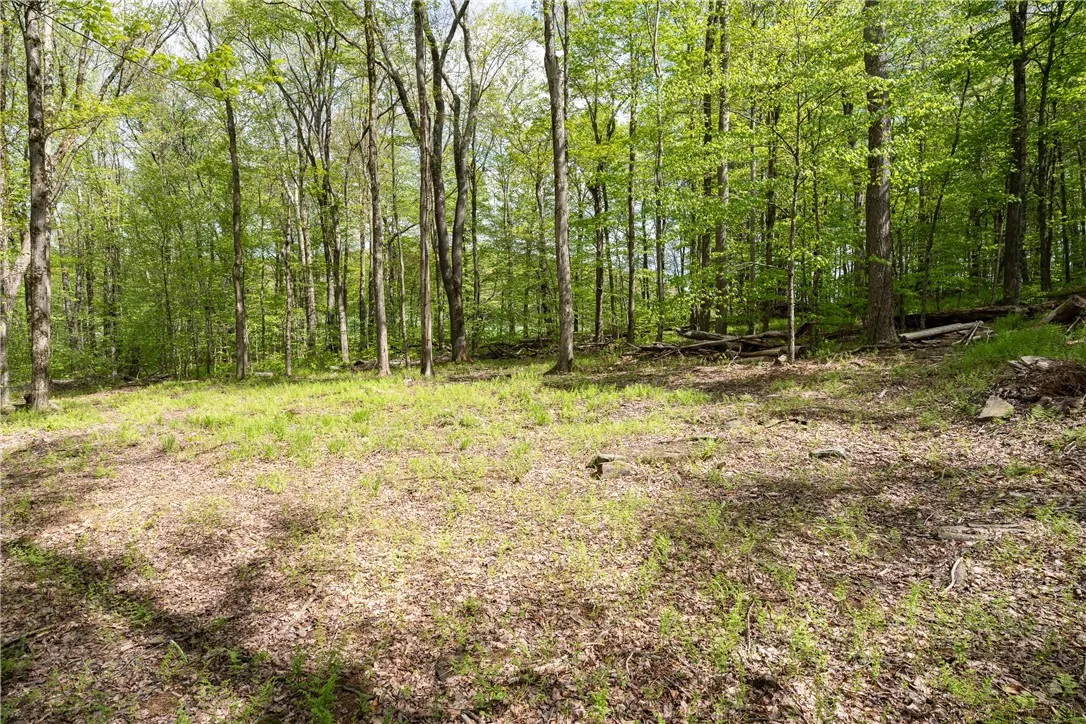 Stanley Campbell Road, Delhi, New York 13753, Delhi, New York 13753, ,Land,For Sale,Stanley Campbell Road, Delhi, New York 13753,R1607593