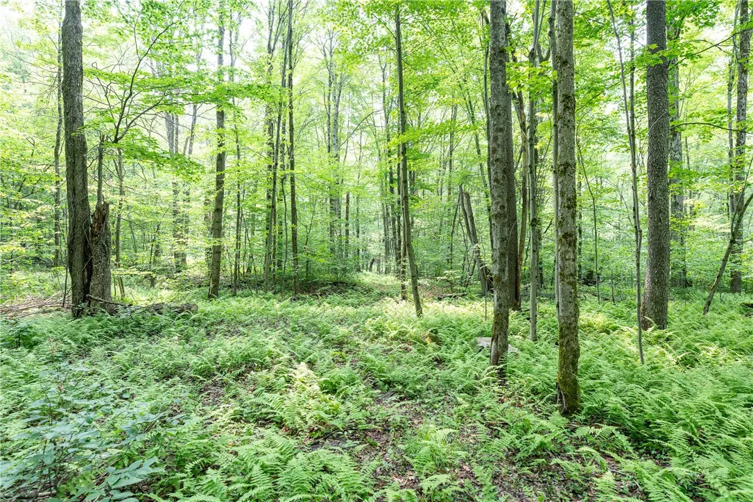 Stanley Campbell Road, Delhi, New York 13753, Delhi, New York 13753, ,Land,For Sale,Stanley Campbell Road, Delhi, New York 13753,R1607593