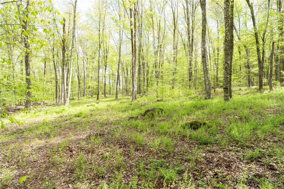 Stanley Campbell Road, Delhi, New York 13753, Delhi, New York 13753, ,Land,For Sale,Stanley Campbell Road, Delhi, New York 13753,R1607593