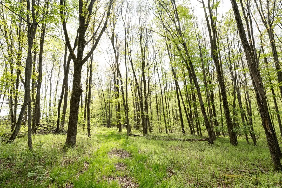 Stanley Campbell Road, Delhi, New York 13753, Delhi, New York 13753, ,Land,For Sale,Stanley Campbell Road, Delhi, New York 13753,R1607593