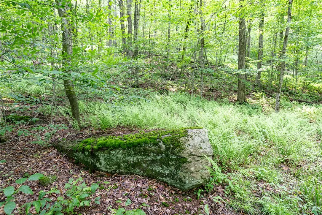 Stanley Campbell Road, Delhi, New York 13753, Delhi, New York 13753, ,Land,For Sale,Stanley Campbell Road, Delhi, New York 13753,R1607593