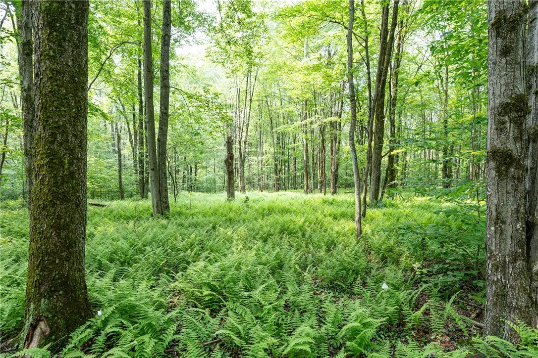 Stanley Campbell Road, Delhi, New York 13753, Delhi, New York 13753, ,Land,For Sale,Stanley Campbell Road, Delhi, New York 13753,R1607593