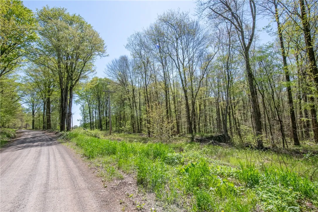 Stanley Campbell Road, Delhi, New York 13753, Delhi, New York 13753, ,Land,For Sale,Stanley Campbell Road, Delhi, New York 13753,R1607593