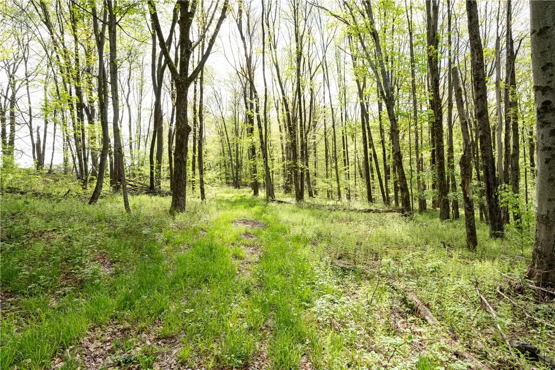 Stanley Campbell Road, Delhi, New York 13753, Delhi, New York 13753, ,Land,For Sale,Stanley Campbell Road, Delhi, New York 13753,R1607593