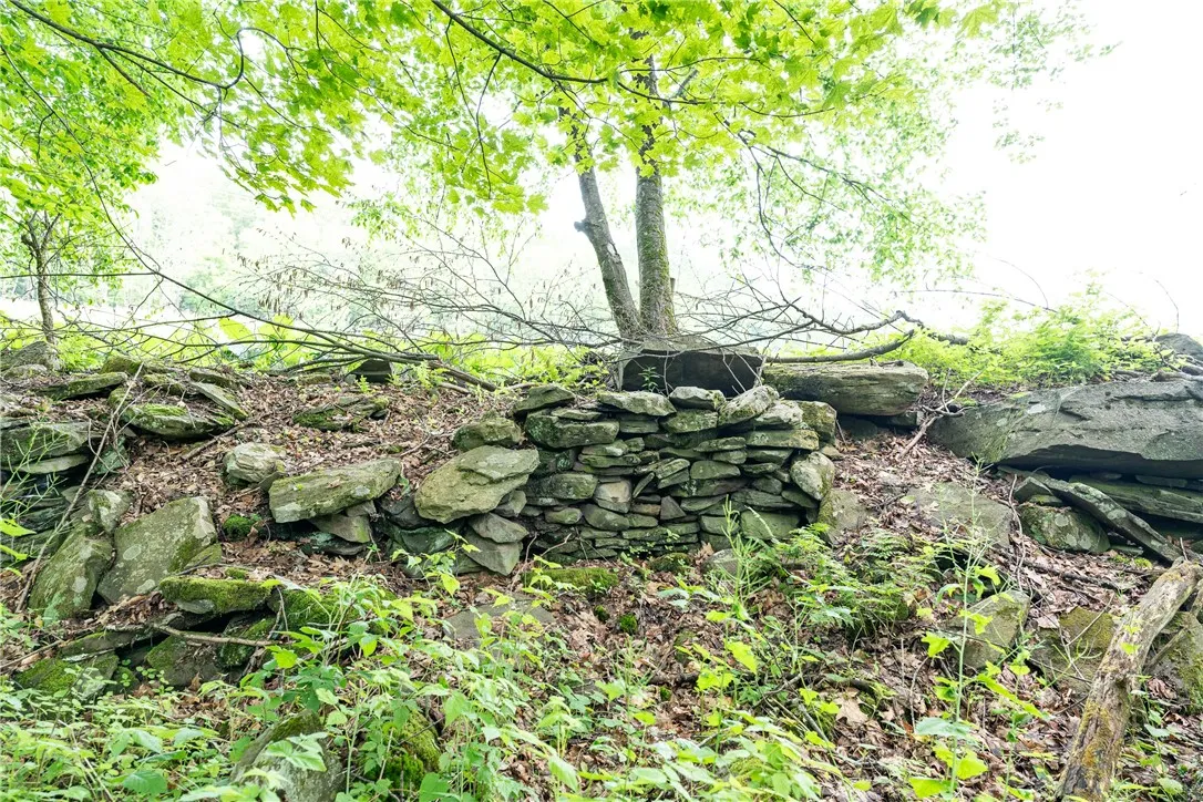Stanley Campbell Road, Delhi, New York 13753, Delhi, New York 13753, ,Land,For Sale,Stanley Campbell Road, Delhi, New York 13753,R1607593