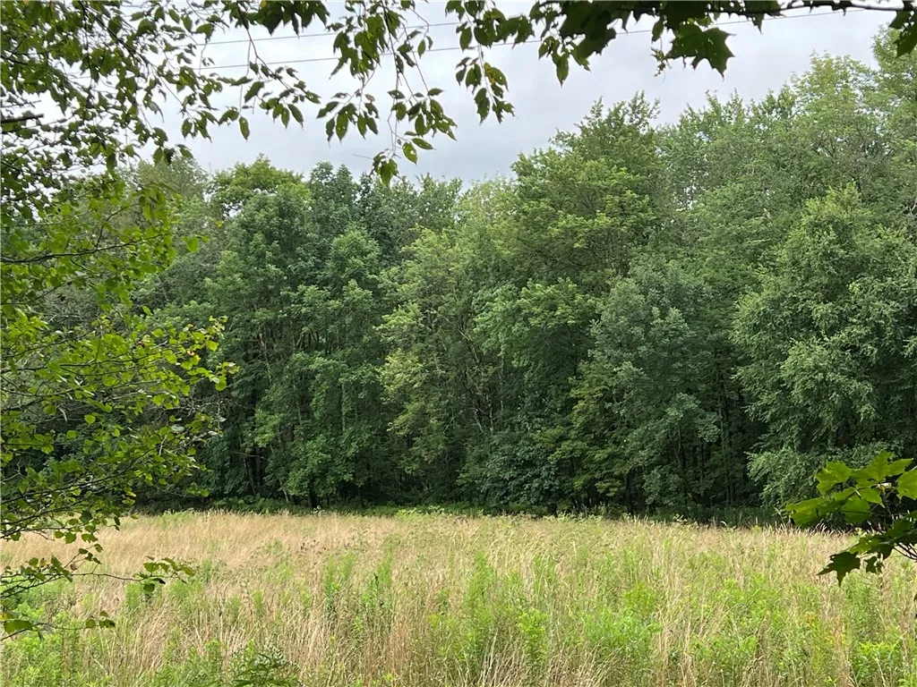 Stanley Campbell Road, Delhi, New York 13753, Delhi, New York 13753, ,Land,For Sale,Stanley Campbell Road, Delhi, New York 13753,R1607593