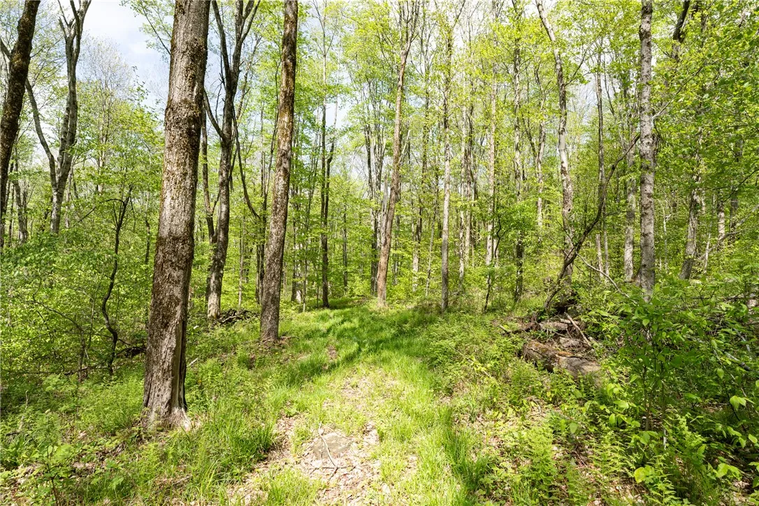 Stanley Campbell Road, Delhi, New York 13753, Delhi, New York 13753, ,Land,For Sale,Stanley Campbell Road, Delhi, New York 13753,R1607593