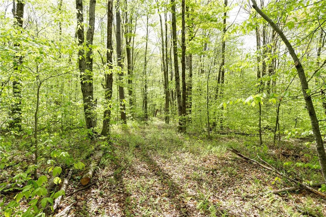 Stanley Campbell Road, Delhi, New York 13753, Delhi, New York 13753, ,Land,For Sale,Stanley Campbell Road, Delhi, New York 13753,R1607593