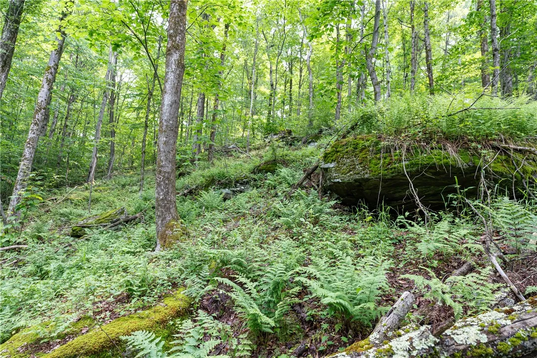 Stanley Campbell Road, Delhi, New York 13753, Delhi, New York 13753, ,Land,For Sale,Stanley Campbell Road, Delhi, New York 13753,R1607593