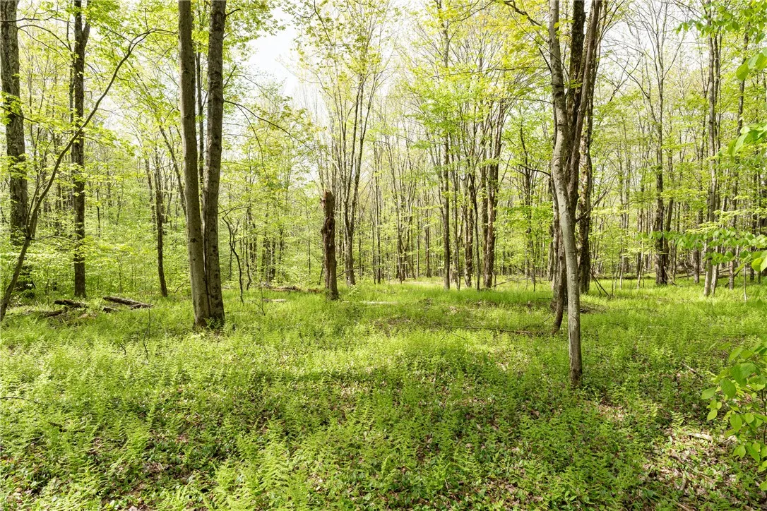 Stanley Campbell Road, Delhi, New York 13753, Delhi, New York 13753, ,Land,For Sale,Stanley Campbell Road, Delhi, New York 13753,R1607593