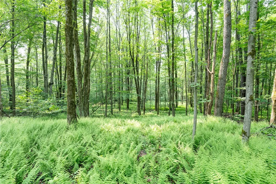 Stanley Campbell Road, Delhi, New York 13753, Delhi, New York 13753, ,Land,For Sale,Stanley Campbell Road, Delhi, New York 13753,R1607593