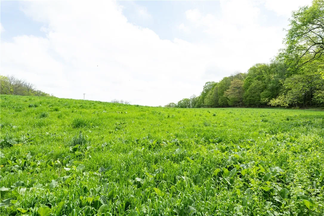 Stanley Campbell Road, Delhi, New York 13753, Delhi, New York 13753, ,Land,For Sale,Stanley Campbell Road, Delhi, New York 13753,R1607593