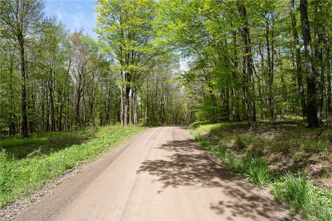 Stanley Campbell Road, Delhi, New York 13753, Delhi, New York 13753, ,Land,For Sale,Stanley Campbell Road, Delhi, New York 13753,R1607593