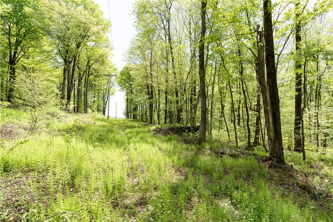 Stanley Campbell Road, Delhi, New York 13753, Delhi, New York 13753, ,Land,For Sale,Stanley Campbell Road, Delhi, New York 13753,R1607593