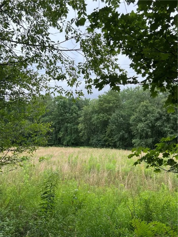 Stanley Campbell Road, Delhi, New York 13753, Delhi, New York 13753, ,Land,For Sale,Stanley Campbell Road, Delhi, New York 13753,R1607593
