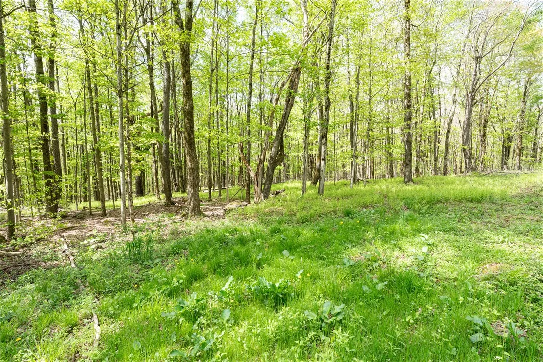 Stanley Campbell Road, Delhi, New York 13753, Delhi, New York 13753, ,Land,For Sale,Stanley Campbell Road, Delhi, New York 13753,R1607593