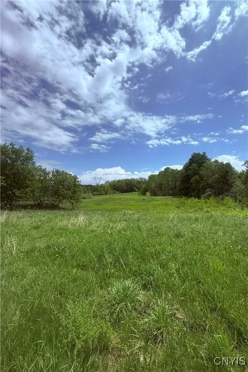 2864 Us Route 11, Mexico, New York 13131, Mexico, New York 13131, ,Land,Closed,2864 Us Route 11, Mexico, New York 13131,0,S1607770