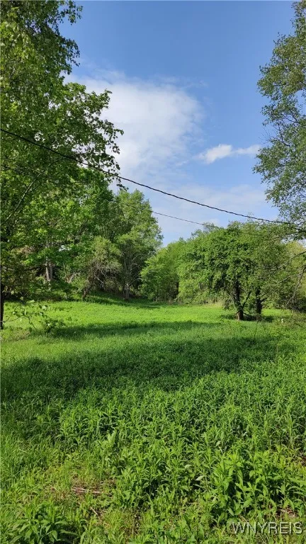 11279 Old Glenwood Road, Concord, New York 14055, Concord, New York 14055, ,Land,Closed,11279 Old Glenwood Road, Concord, New York 14055,0,B1607581