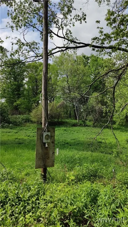 11279 Old Glenwood Road, Concord, New York 14055, Concord, New York 14055, ,Land,Closed,11279 Old Glenwood Road, Concord, New York 14055,0,B1607581