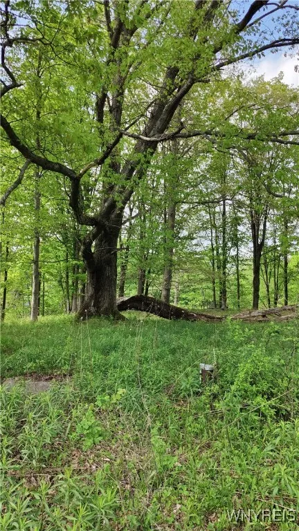 11279 Old Glenwood Road, Concord, New York 14055, Concord, New York 14055, ,Land,Closed,11279 Old Glenwood Road, Concord, New York 14055,0,B1607581