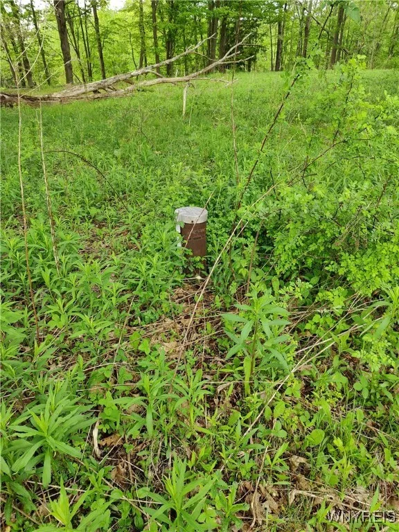 11279 Old Glenwood Road, Concord, New York 14055, Concord, New York 14055, ,Land,Closed,11279 Old Glenwood Road, Concord, New York 14055,0,B1607581