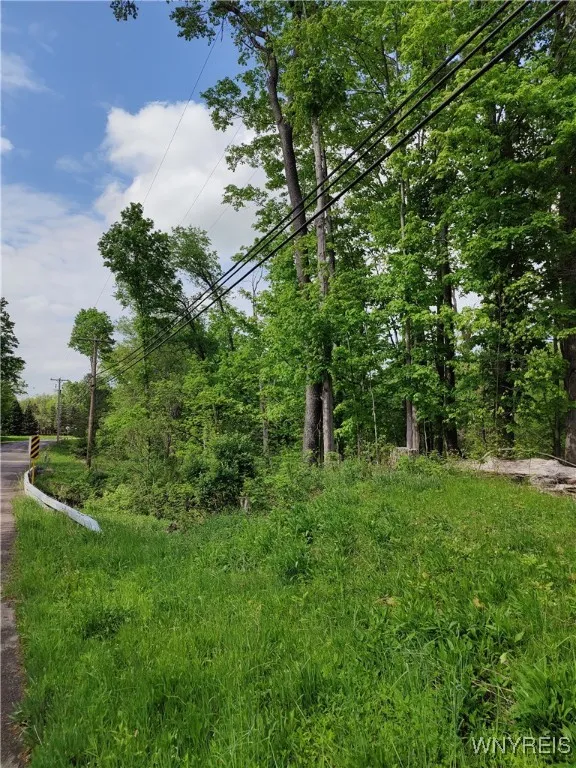 11279 Old Glenwood Road, Concord, New York 14055, Concord, New York 14055, ,Land,Closed,11279 Old Glenwood Road, Concord, New York 14055,0,B1607581