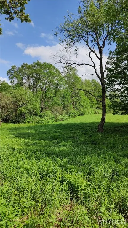 11279 Old Glenwood Road, Concord, New York 14055, Concord, New York 14055, ,Land,Closed,11279 Old Glenwood Road, Concord, New York 14055,0,B1607581