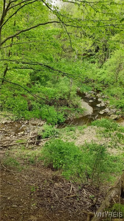 11279 Old Glenwood Road, Concord, New York 14055, Concord, New York 14055, ,Land,Closed,11279 Old Glenwood Road, Concord, New York 14055,0,B1607581