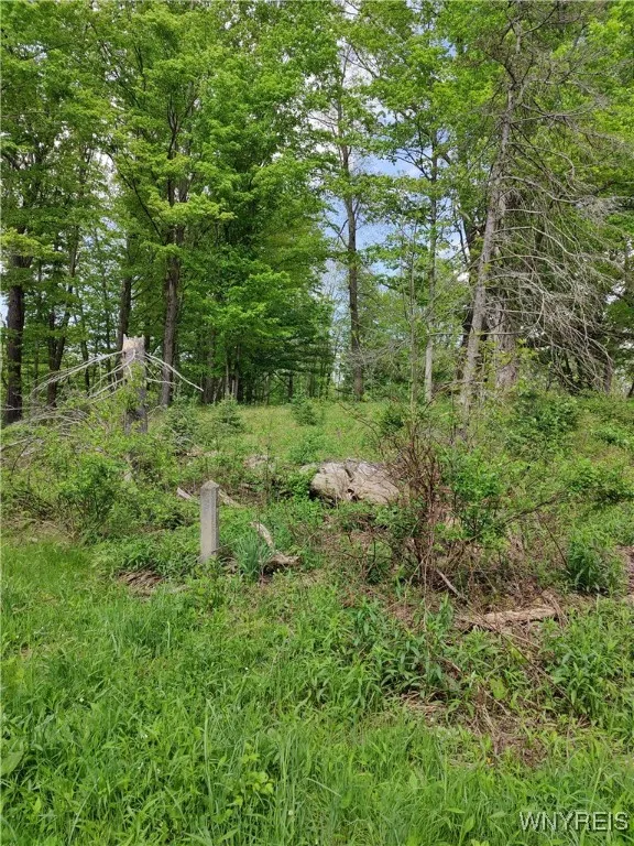 11279 Old Glenwood Road, Concord, New York 14055, Concord, New York 14055, ,Land,Closed,11279 Old Glenwood Road, Concord, New York 14055,0,B1607581