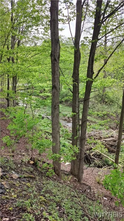 11279 Old Glenwood Road, Concord, New York 14055, Concord, New York 14055, ,Land,Closed,11279 Old Glenwood Road, Concord, New York 14055,0,B1607581