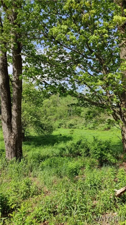 11279 Old Glenwood Road, Concord, New York 14055, Concord, New York 14055, ,Land,Closed,11279 Old Glenwood Road, Concord, New York 14055,0,B1607581