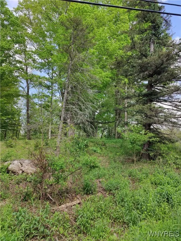 11279 Old Glenwood Road, Concord, New York 14055, Concord, New York 14055, ,Land,Closed,11279 Old Glenwood Road, Concord, New York 14055,0,B1607581