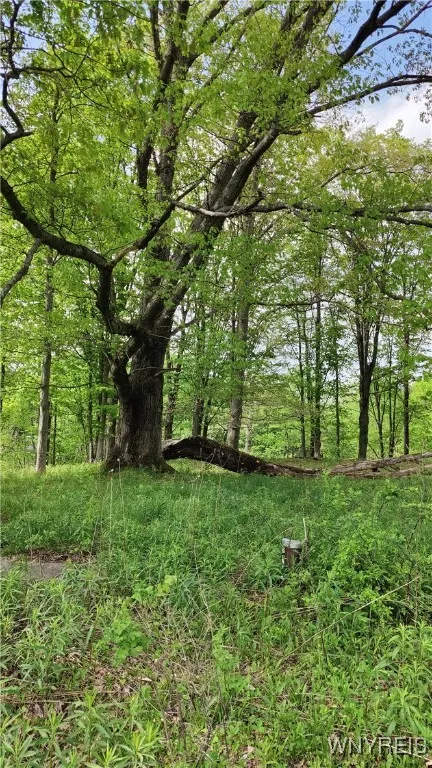 11279 Old Glenwood Road, Concord, New York 14055, Concord, New York 14055, ,Land,Closed,11279 Old Glenwood Road, Concord, New York 14055,0,B1607581