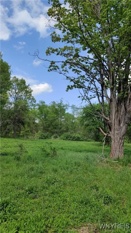 11279 Old Glenwood Road, Concord, New York 14055, Concord, New York 14055, ,Land,Closed,11279 Old Glenwood Road, Concord, New York 14055,0,B1607581