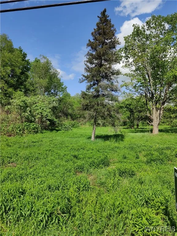 11279 Old Glenwood Road, Concord, New York 14055, Concord, New York 14055, ,Land,Closed,11279 Old Glenwood Road, Concord, New York 14055,0,B1607581