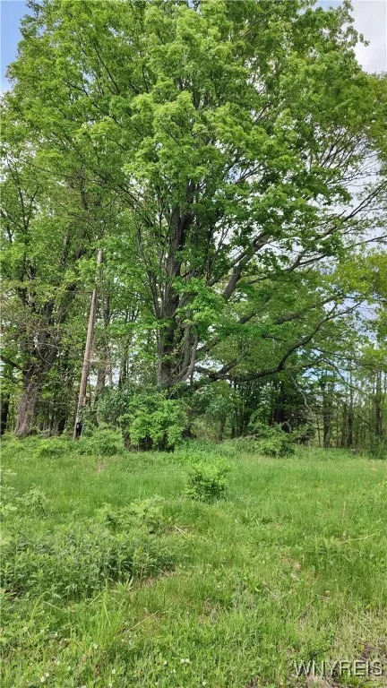 11279 Old Glenwood Road, Concord, New York 14055, Concord, New York 14055, ,Land,Closed,11279 Old Glenwood Road, Concord, New York 14055,0,B1607581