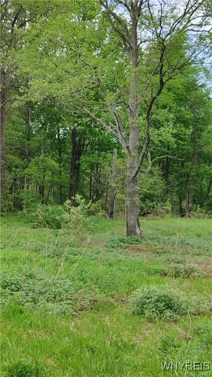 11279 Old Glenwood Road, Concord, New York 14055, Concord, New York 14055, ,Land,Closed,11279 Old Glenwood Road, Concord, New York 14055,0,B1607581