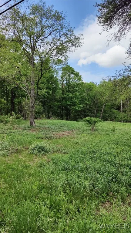11279 Old Glenwood Road, Concord, New York 14055, Concord, New York 14055, ,Land,Closed,11279 Old Glenwood Road, Concord, New York 14055,0,B1607581