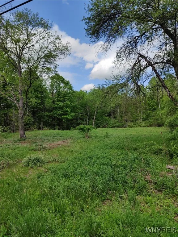 11279 Old Glenwood Road, Concord, New York 14055, Concord, New York 14055, ,Land,Closed,11279 Old Glenwood Road, Concord, New York 14055,0,B1607581