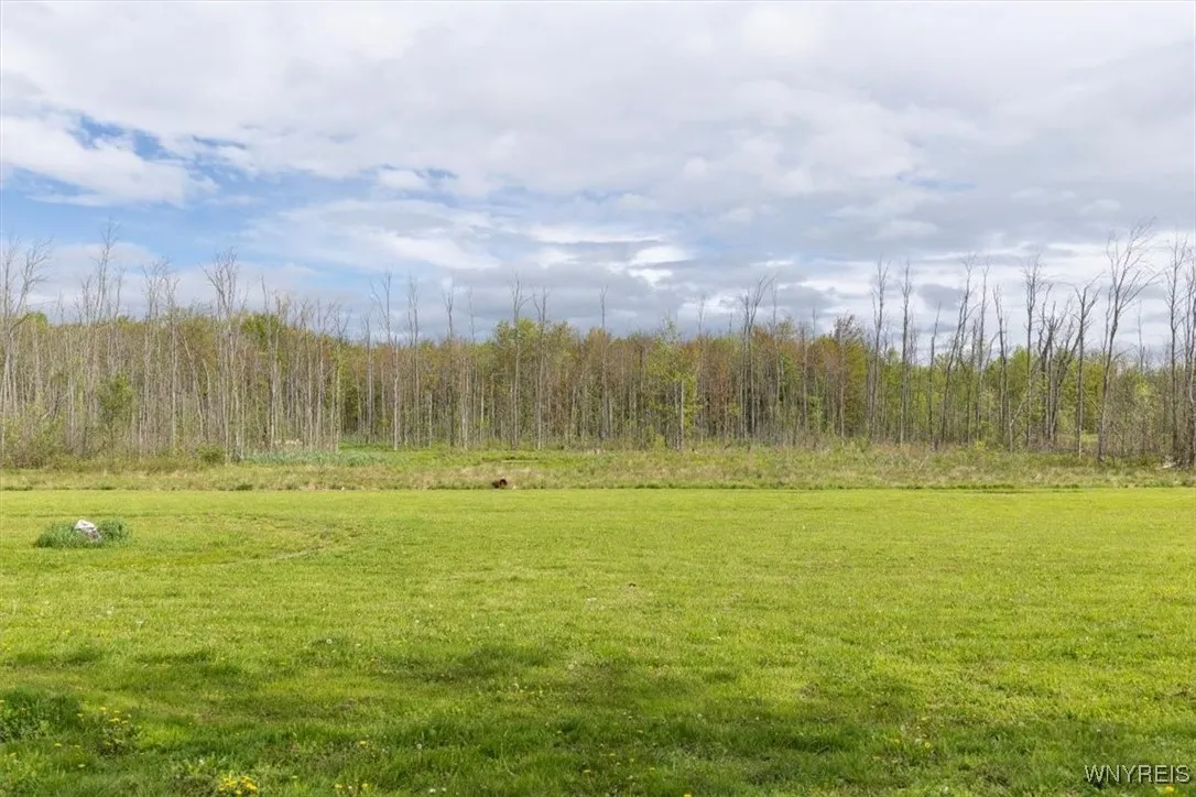 acreage with .38 considered wetland