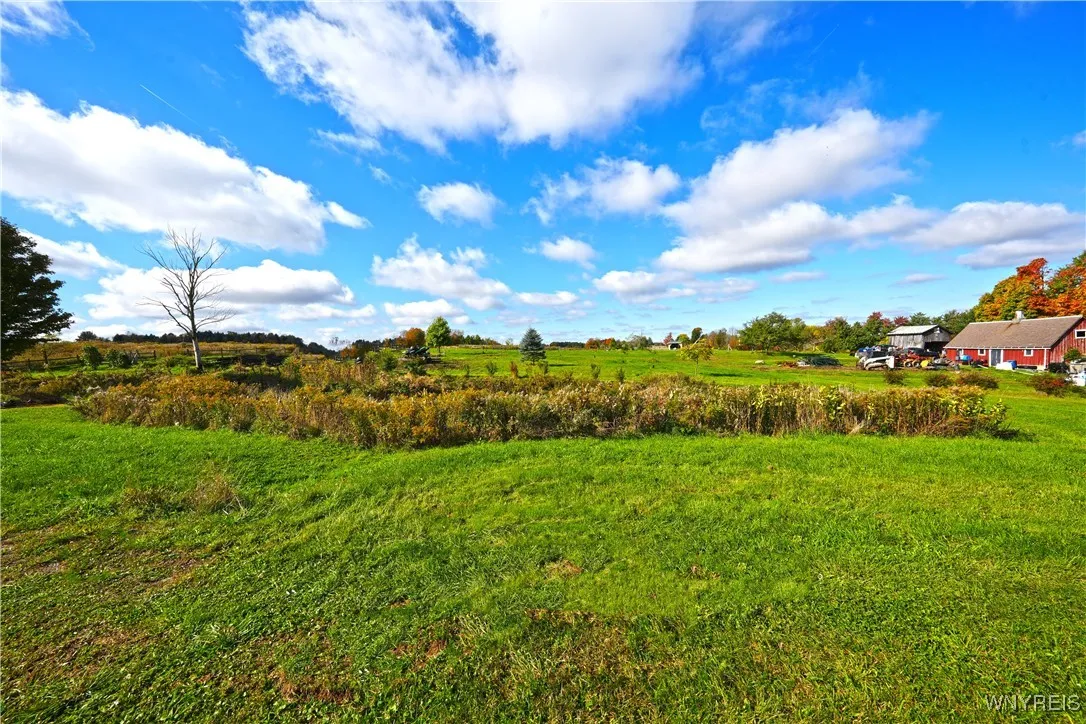5195 Genesee Road, North Collins, New York 14141, North Collins, New York 14141, 4 Bedrooms Bedrooms, 12 Rooms Rooms,2 BathroomsBathrooms,Residential,For Sale,5195 Genesee Road, North Collins, New York 14141,0,B1608011
