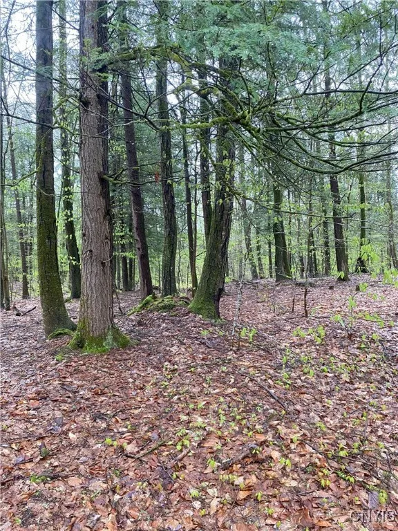 Rome-taberg Road, Annsville, New York 13471, Annsville, New York 13471, ,Land,For Sale,Rome-taberg Road, Annsville, New York 13471,0,S1607864