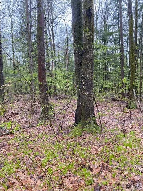 Rome-taberg Road, Annsville, New York 13471, Annsville, New York 13471, ,Land,For Sale,Rome-taberg Road, Annsville, New York 13471,0,S1607864