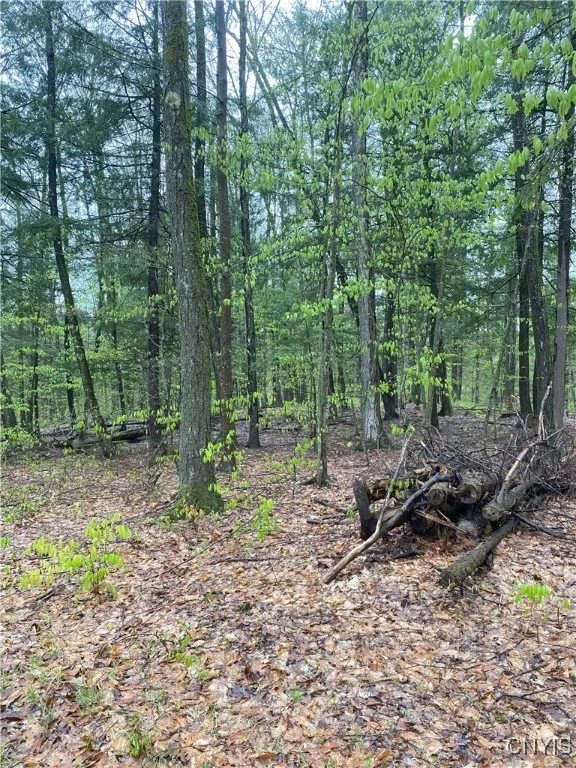 Rome-taberg Road, Annsville, New York 13471, Annsville, New York 13471, ,Land,For Sale,Rome-taberg Road, Annsville, New York 13471,0,S1607864