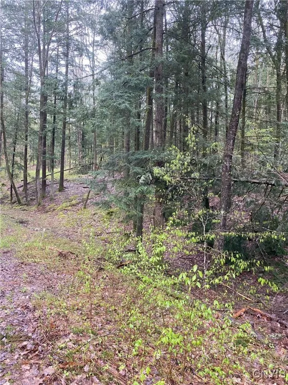 Rome-taberg Road, Annsville, New York 13471, Annsville, New York 13471, ,Land,For Sale,Rome-taberg Road, Annsville, New York 13471,0,S1607864 Rome-taberg Road, Annsville, New York 13471, Annsville, New York 13471, ,Land,For Sale,Rome-taberg Road, Annsville, New York 13471,0,S1607864