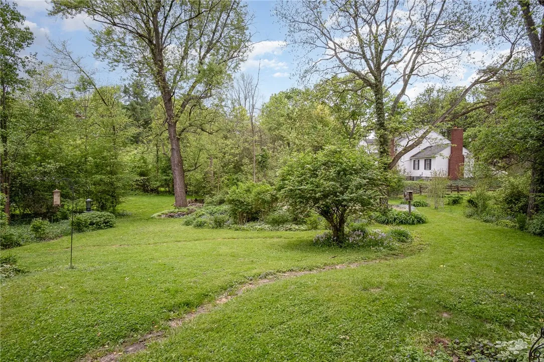 gorgeous park-like backyard