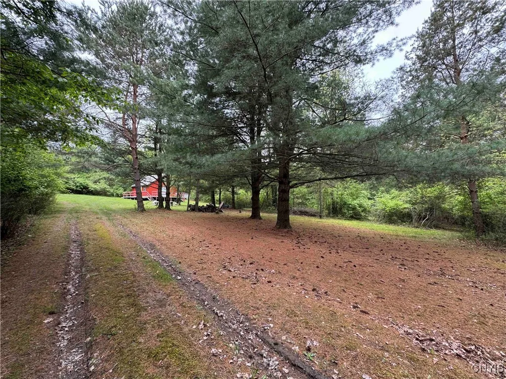 9682 Silsbee Road, Wayne, New York 14840, Wayne, New York 14840, 2 Bedrooms Bedrooms, ,1 BathroomBathrooms,Land,Closed,9682 Silsbee Road, Wayne, New York 14840,0,S1608716