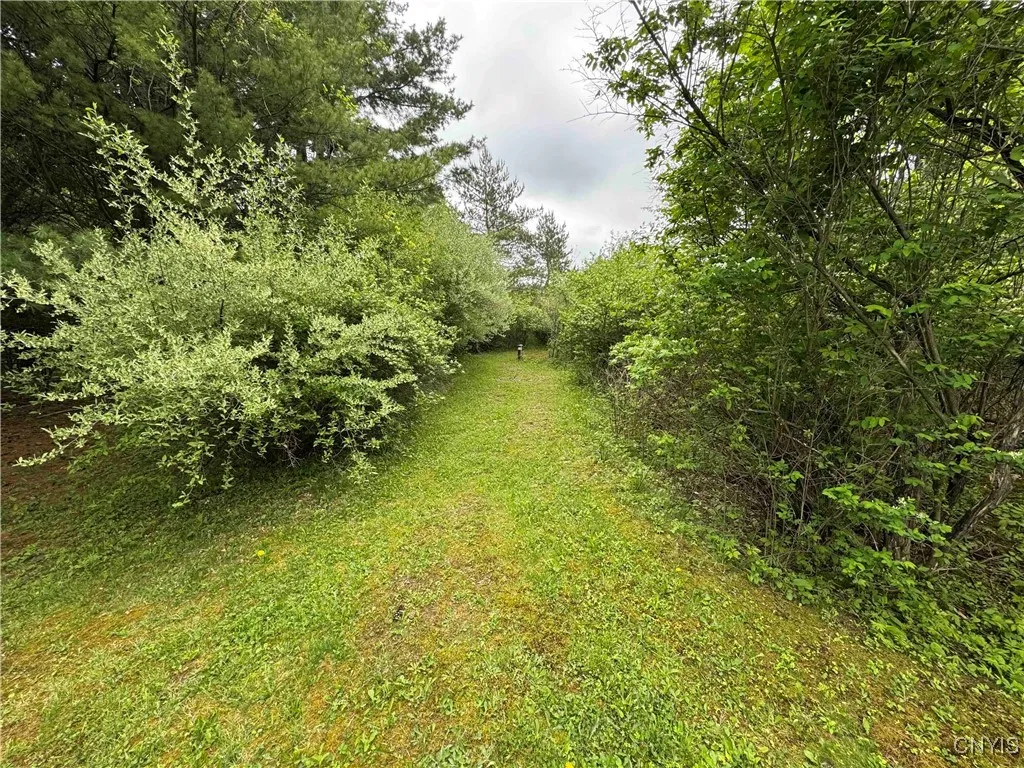 9682 Silsbee Road, Wayne, New York 14840, Wayne, New York 14840, 2 Bedrooms Bedrooms, ,1 BathroomBathrooms,Land,Closed,9682 Silsbee Road, Wayne, New York 14840,0,S1608716