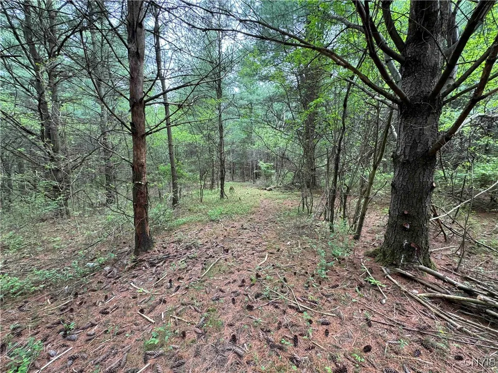 9682 Silsbee Road, Wayne, New York 14840, Wayne, New York 14840, 2 Bedrooms Bedrooms, ,1 BathroomBathrooms,Land,Closed,9682 Silsbee Road, Wayne, New York 14840,0,S1608716