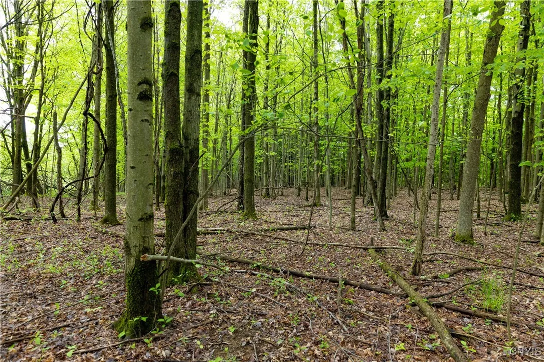 58 Cascade Drive, New Hartford, New York 13413, New Hartford, New York 13413, ,Land,For Sale,58 Cascade Drive, New Hartford, New York 13413,0,S1607376